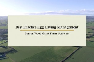 Best Practice Layer Management