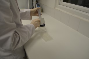 St David's becomes the first poultry practice in the UK to operate innovative MIC laboratory equipment