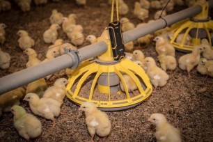 Can Technology Help on the Game Farm?